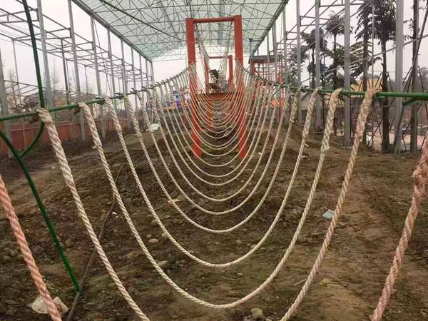 叢林穿越游樂項(xiàng)目 叢林穿越游樂項(xiàng)目