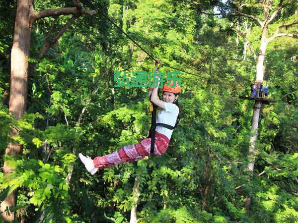 叢林穿越 叢林穿越