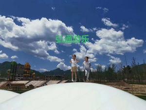 網(wǎng)紅項(xiàng)目